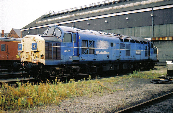 37023