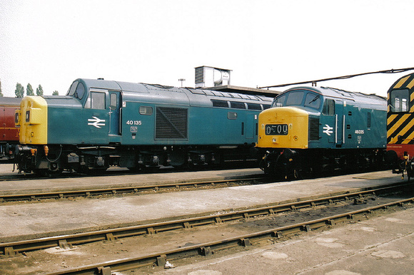 40135