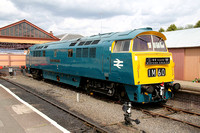 D1062